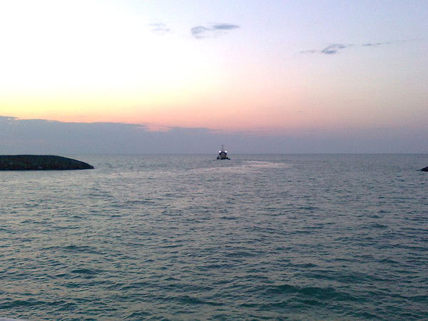 Erkebulan Shaimerdenov