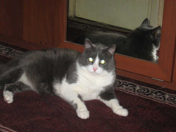 Руслана Разумникова