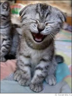 Анна Скопинцева