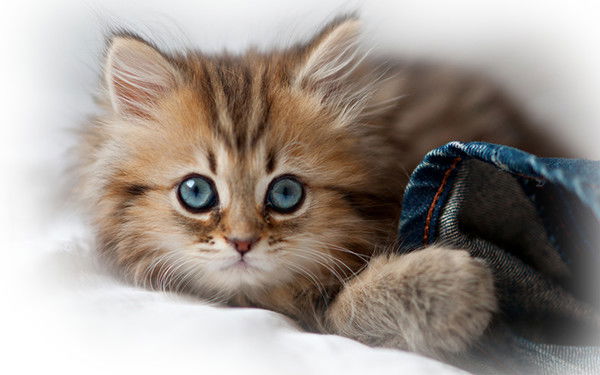 Алия Хайруллина