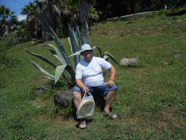 Андрей Ипатов