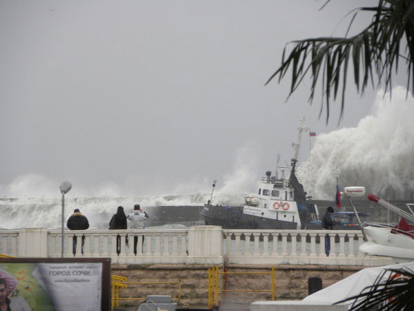 Андрей Запорожцев