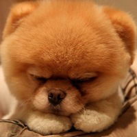 Мария Ковалёва