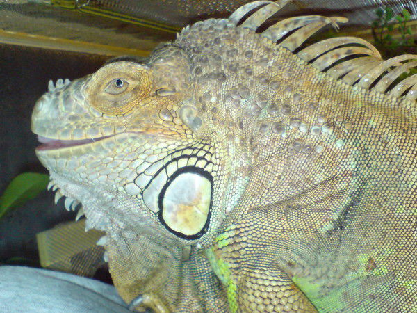 Эдуард Поденков