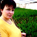 Lida Gustej