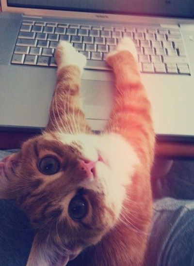 Саша Сытник