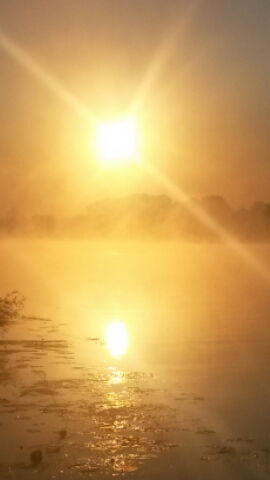 Жангазы Шермаматов