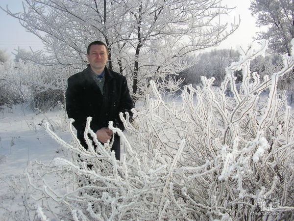 Алексей Никитин