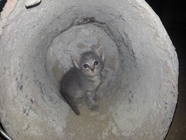 Алексей Поваляев