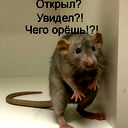 Алла Ким