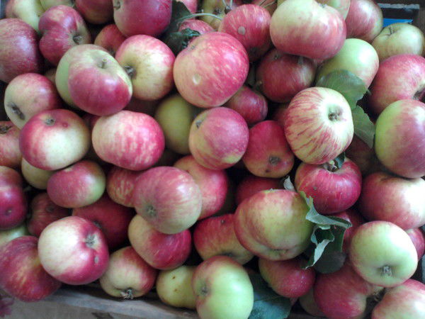 Cалтанат Масимбаева