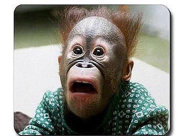 Алексей Савченко