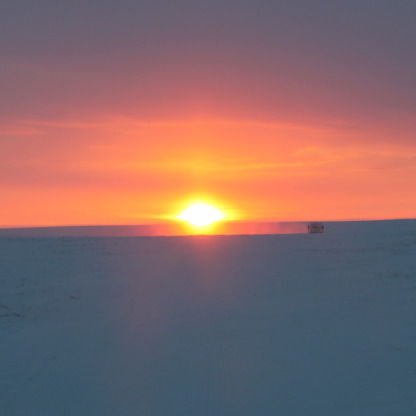 Ирина Геревич