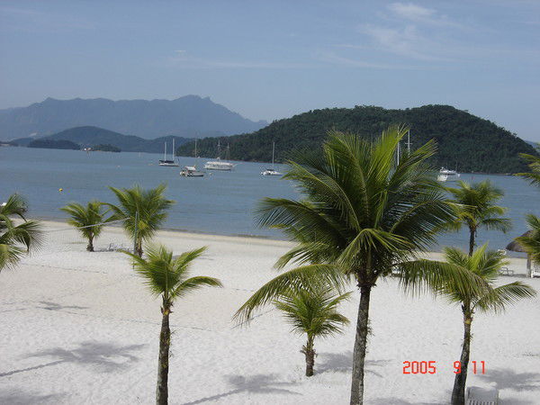 Елена Серегина