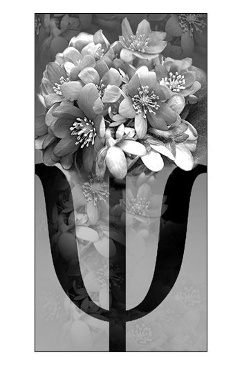 Ирина Смирнова