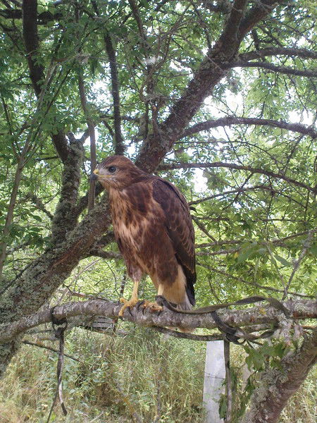 Татьяна Иванова