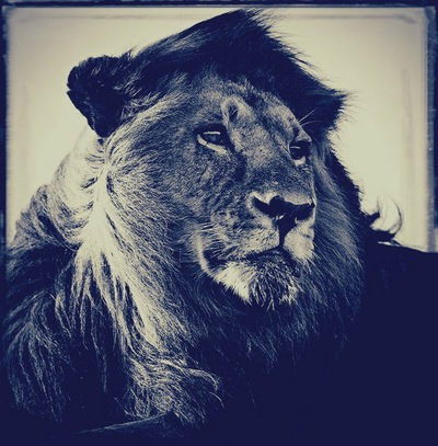 Нурлан Аханов