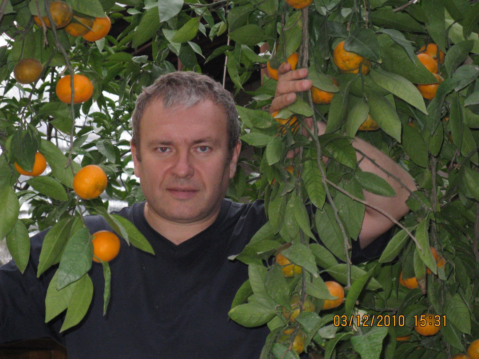 Олег Дубровин