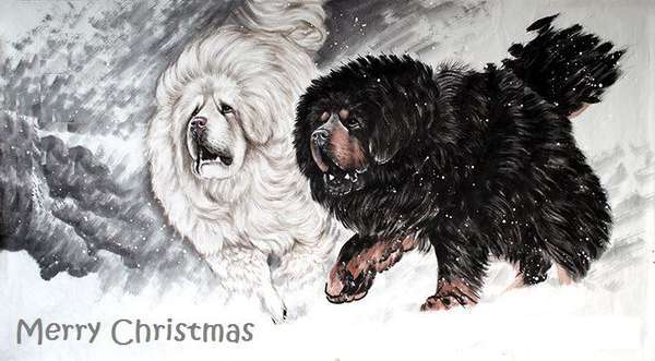 Тимур Хабитуев