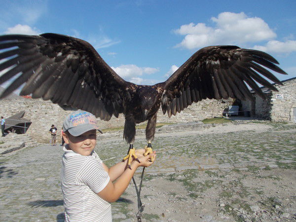 Данил Горин