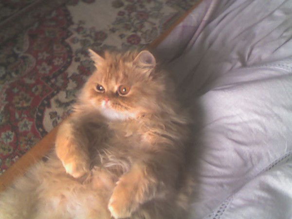 Марина Марина