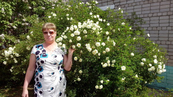 Елена Токарева