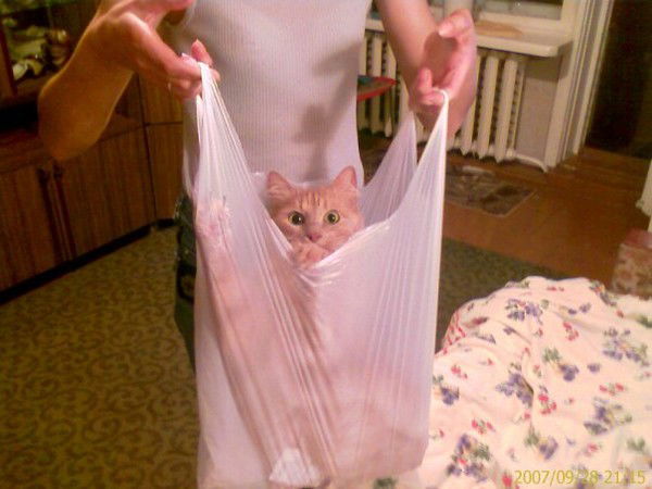 Надежда Востоцкая