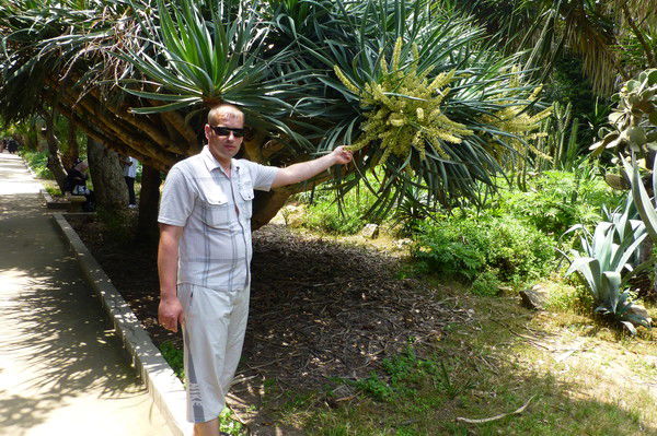 Александр Громов