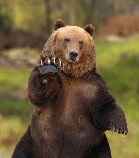 Мишаня Игорюлькович