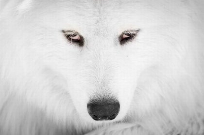 Александр Александров