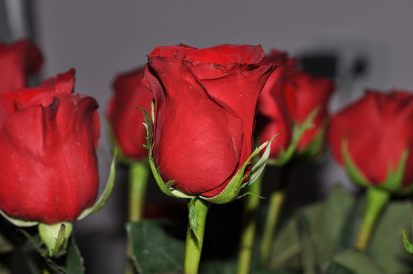 Айгуль Аринова