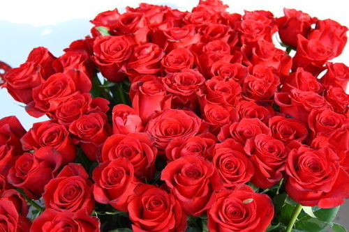 Наталья Молчина