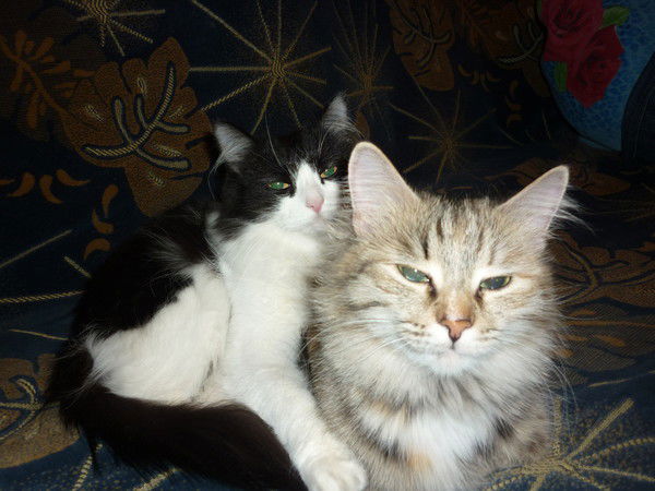 Эдуард Исламов