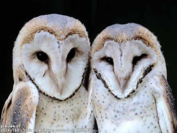 Татьяна Бабаева