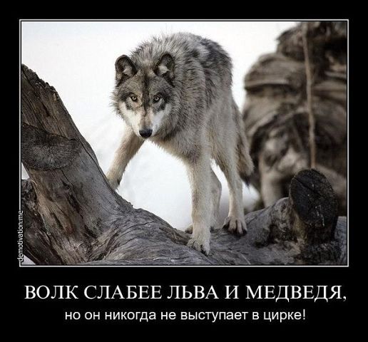 Александр Отроков