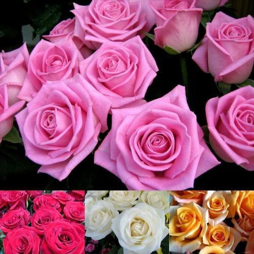 Жанна Тасыбаева