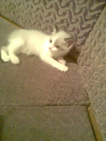 Татьяна Никифорова