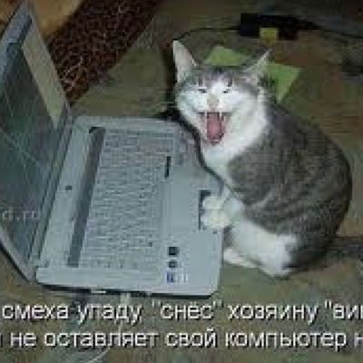 Саня Хрусталев