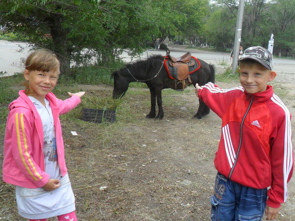 Миша Дубровский