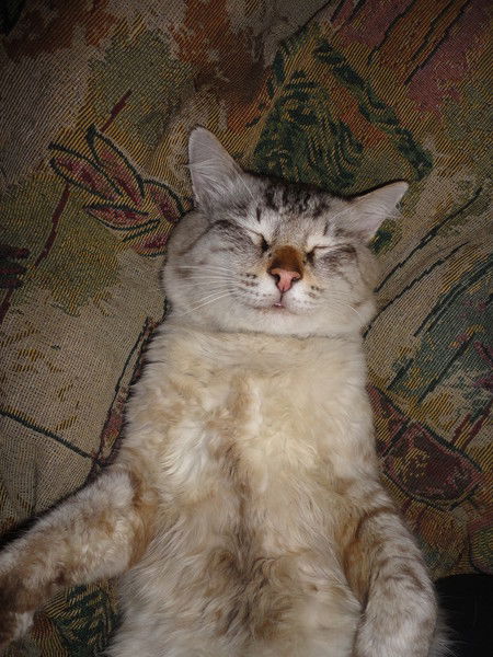 Филипп Ложкин