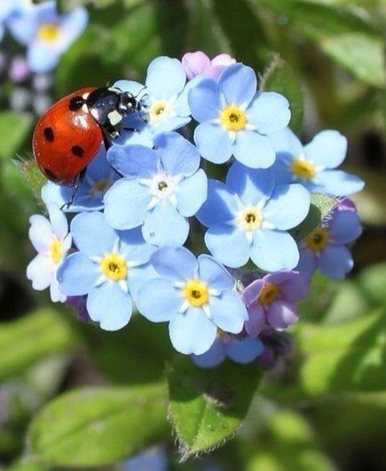 Гульназ Рустамовна