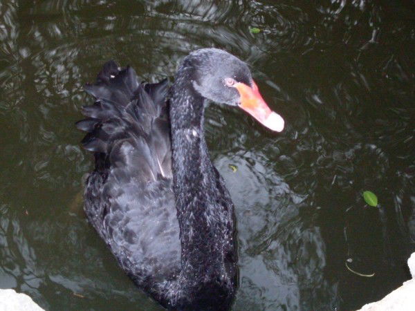 Олег Потылицин