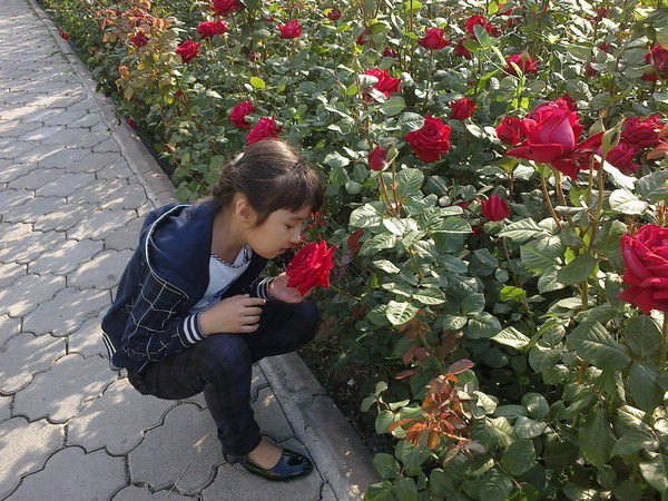 Асемай Маратова