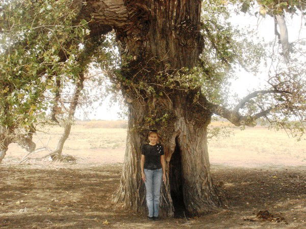 Сауле Файзуллина