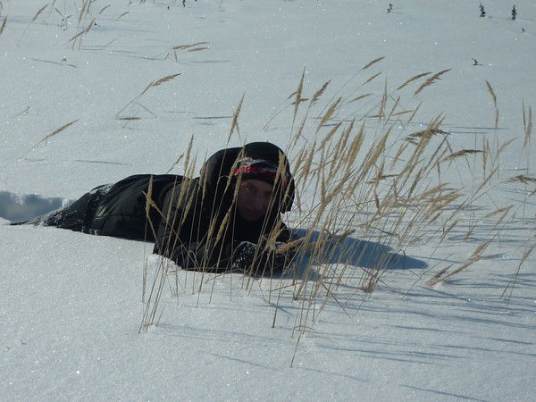 Александр Ламзин