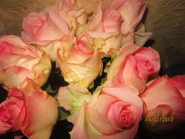 Оксана Задубровская