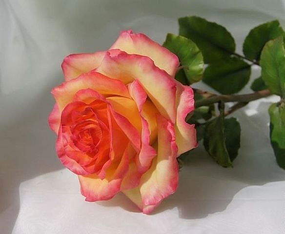 Гу Аппарат Акима Поселка Киевка Нуринского Района