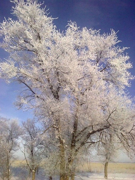 Самая Счастливая!