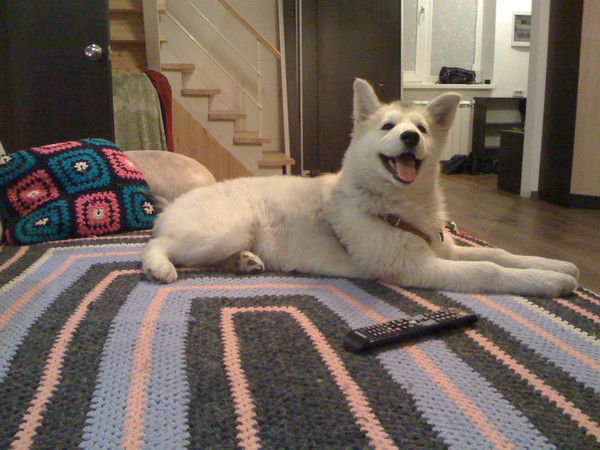 Лечка Кадырова