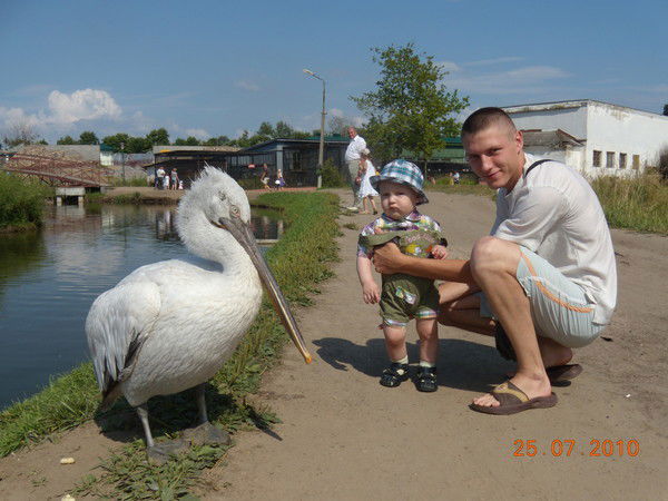 Виктор Томукевич